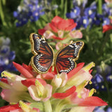 AzureBella Jewelry Baltic Amber and Sterling Silver Wings Wrap Ring